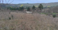 Quinta com 3,7 Hectares