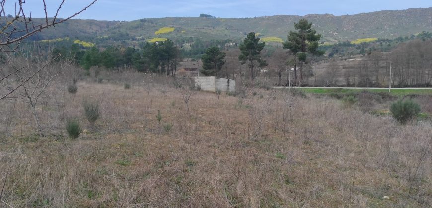 Quinta com 3,7 Hectares