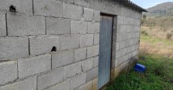 Quinta com 3,7 Hectares