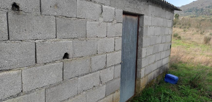 Quinta com 3,7 Hectares