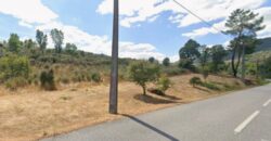 Quinta com 3,7 Hectares