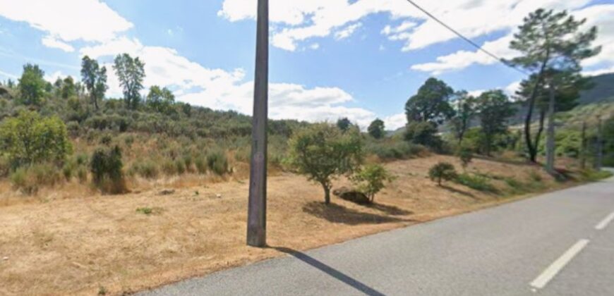 Quinta com 3,7 Hectares