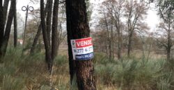 Quinta com 3,7 Hectares