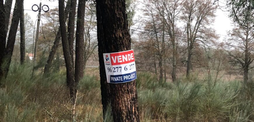 Quinta com 3,7 Hectares